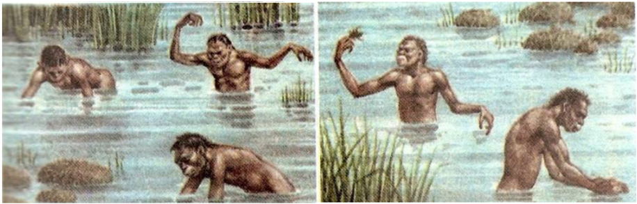 Картинки по запросу водная обезьяна картинки