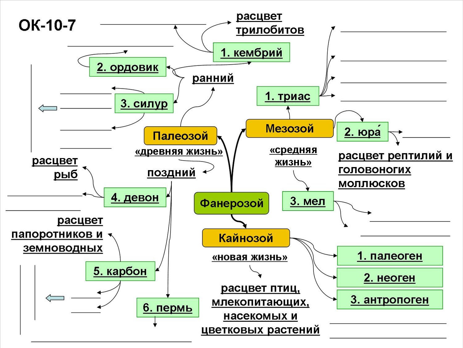 Интеллект карта эволюция органического мира