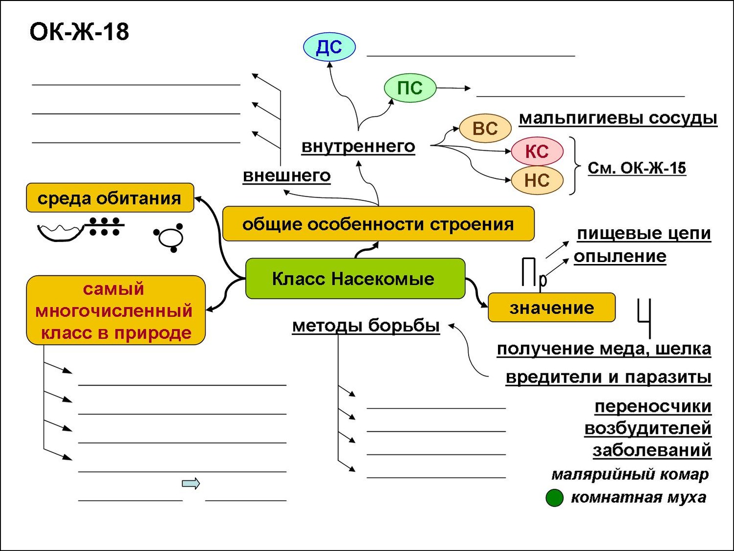 Опорные схемы по биологии. Опорный конспект по биологии 7 класс. Конспекты по биологии 7 класс профессор Знаев. Источники биологической информации опорная схема. Профессор Знаев таблицы по биологии.